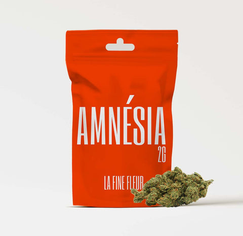 Amnésia  2g x 10